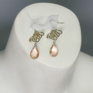 Golden Rimmed Crystal Drop Earrings